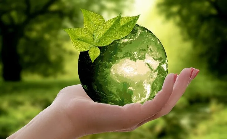 Proyecto escolar de reciclaje
