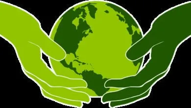 La educación y los valores ambientales