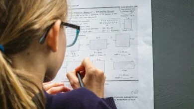 tipos de aprendizaje cognitivo