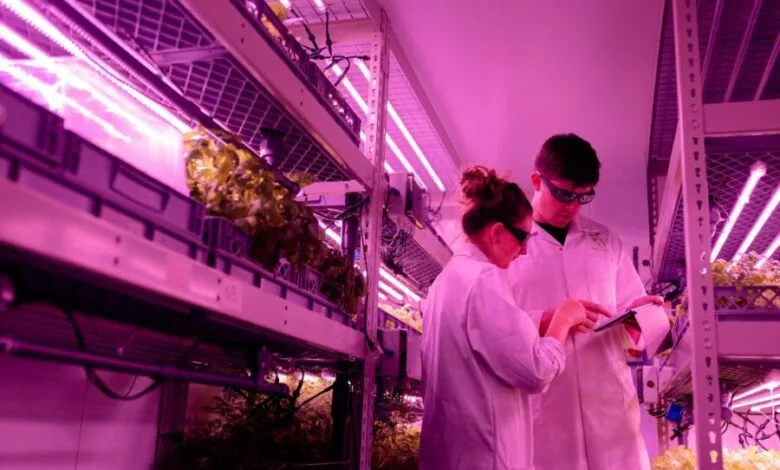 Qué es la ingeniería ambiental