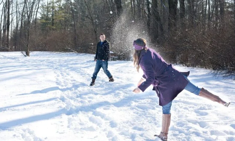 ejemplo de muestreo de bola de nieve
