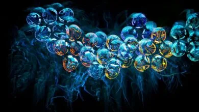 Fractales en la Vida Cotidiana