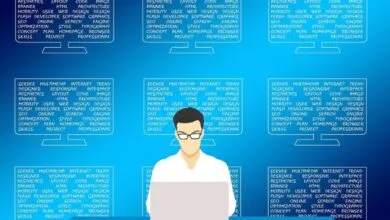 Qué hace un Administrador de Empresas