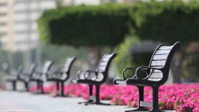 Pensiones del IMSS en el 2024