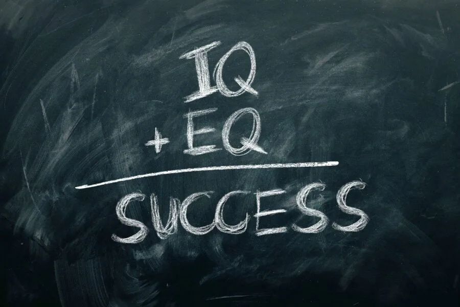 tipos de la Inteligencia Emocional