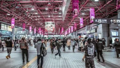 Disciplina de las Ciencias Sociales