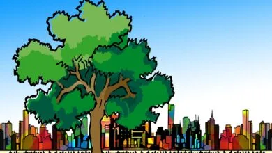 La importancia de educación ambiental