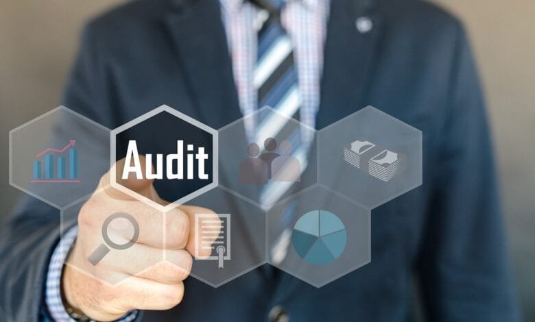 Las Auditorías internas