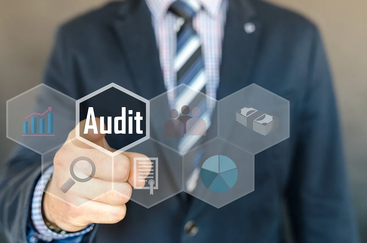Las Auditorías internas