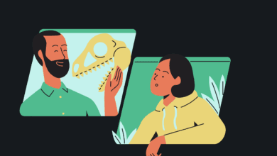 habilidades metacognitivas