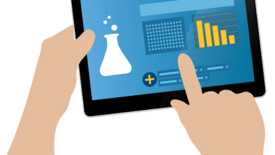 La gestión de la información