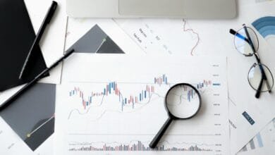 economia normativa y positiva
