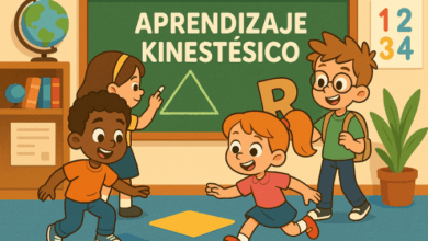 estilo de aprendizaje kinest茅sico