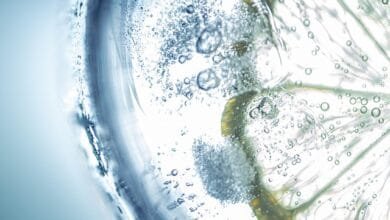 consejos para ahorrar agua